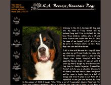 Tablet Screenshot of akabernesemtdogs.com